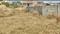 Fairsky Plot View 2