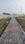 Vibcon Vibrant Krishnayan Corridor Main Image 1