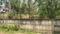 Velappaya, Killannur Main Image 1