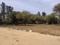 ASOLA FARM Main Image 1