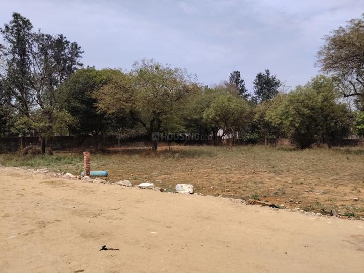 ASOLA FARM Main Image 1