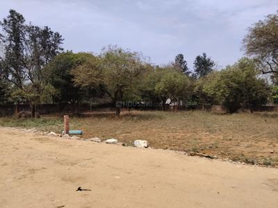 Residential Plot