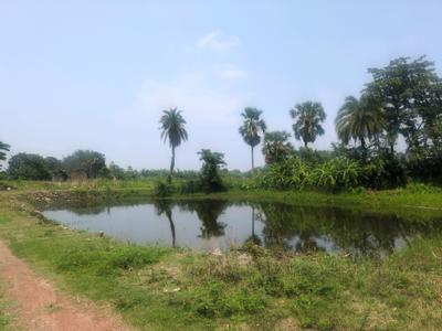 Residential Plot