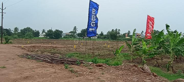 Kankipadu Main Image 1