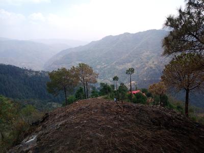 Beolia Plot View 1