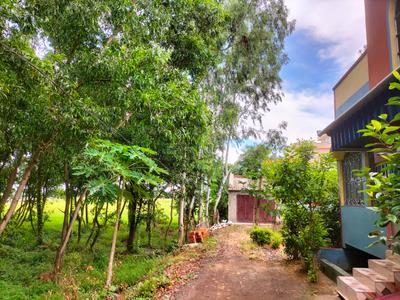 Image of 3923 Sq.ft Residential Plot / Land for sale in Bajepratappur, Bardhaman for Rs. 3850000