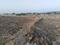 Sarde Plot View 2
