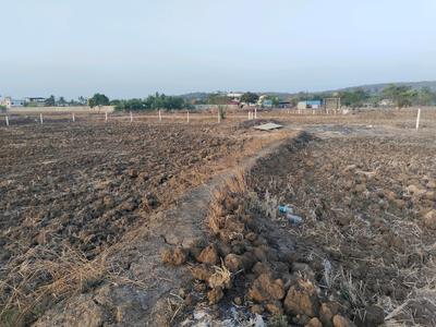 Sarde Plot View 2