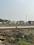 Maina Anmol Orchid Plot View 2
