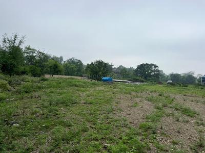 MB ASSOCIATE Plot View 3