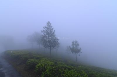 Image of 9147 Sq.ft Residential Plot / Land for sale in Kotagiri, Ooty for Rs. 6195000