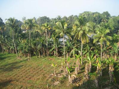 Image of 1200 Sq.ft 3 BHK Apartment / Flat for sale in Aluva, Kochi for Rs. 3000000