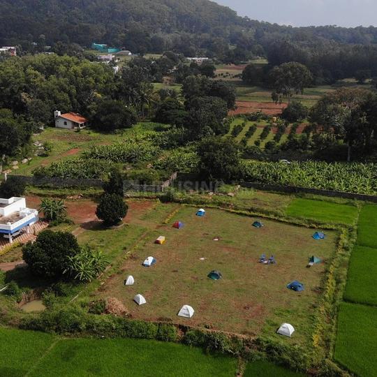 Kaliawas Main Image 1