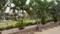 Bahtarai Plot View 2