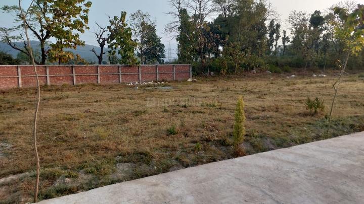 Bharuwala Colony, Clement Town Main Image 1