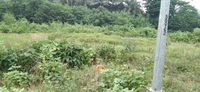 Image of 2160 Sq.ft Residential Plot / Land for sale in Chinar Park, Kolkata for Rs. 6500000