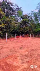 Corlim sub divided  plots Plot View 1