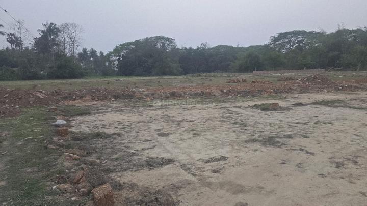 Dhamilo Main Image 1