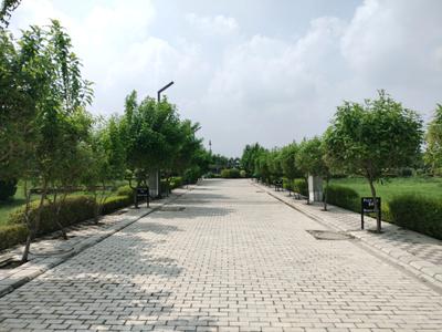 Image of 175 Sq.ft Residential Plot / Land for sale in Mansha Oaks, Sector 98, Faridabad for Rs. 21875000