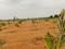 VRR Grand Enclave Main Image 1