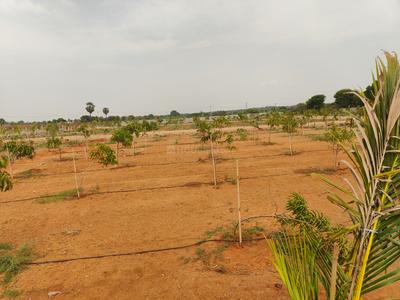 VRR Grand Enclave Plot View 1