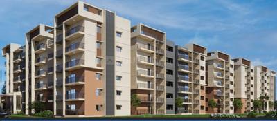 3 BHK Flat