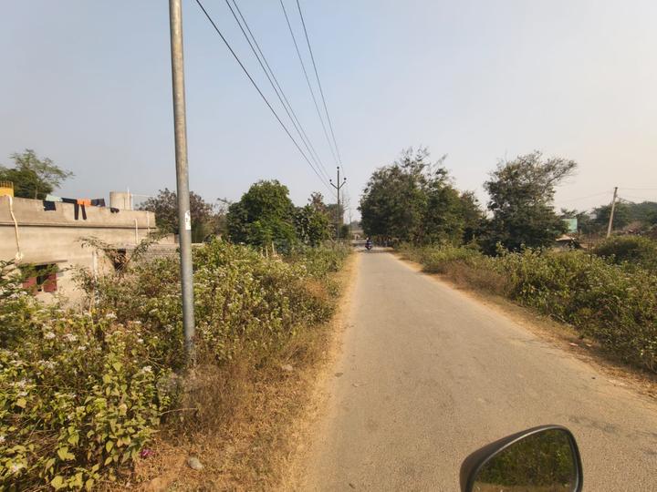 Amalapada Main Image 1