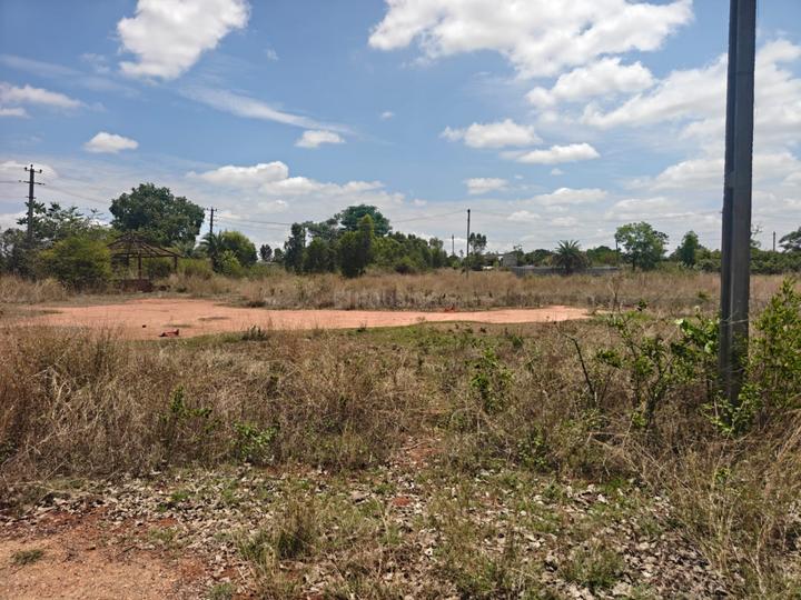 Ivc Road Main Image 1