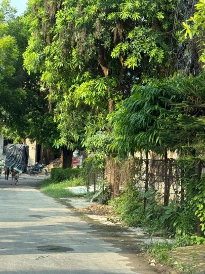 South City J Block Main Image 1