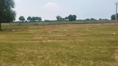 Image of 1250 Sq.ft Residential Plot / Land for sale in Bagru, Jaipur for Rs. 1780000