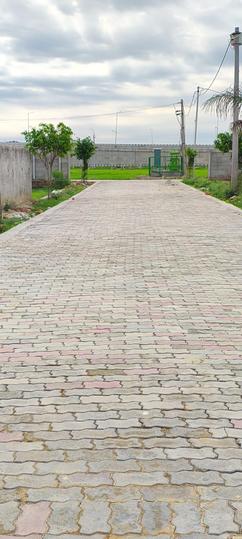 Golf City, Sevai Main Image 1