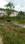 Mesra Main Image 1