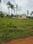 Hinkal Main Image 1