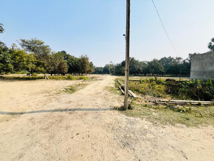 Para Main Image 1