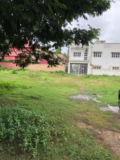 Kukudungri, Mango Main Image 1