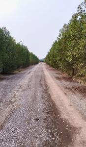 Image of 19500 Sq.ft Residential Plot / Land for sale in Bhatagaon, Raipur for Rs. 8775000