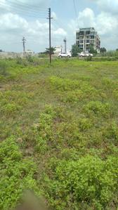 sai society Plot View 1