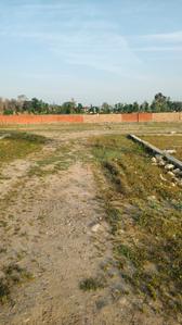 Image of 1800 Sq.ft Residential Plot / Land for sale in Dharmawala, Dehradun for Rs. 3100000