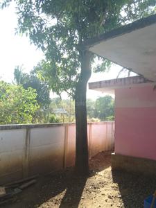Balcony Image of 1200 Sq.ft 2 BHK Independent House for sale in Koorkenchery Thrissur for Rs. 3900000