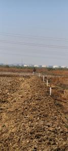 Image of 1089 Sq.ft Residential Plot / Land for sale in Pirkone, Navi Mumbai for Rs. 450000