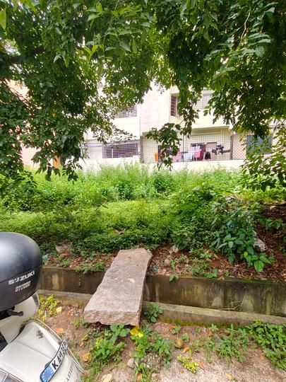 Site Main Image 1