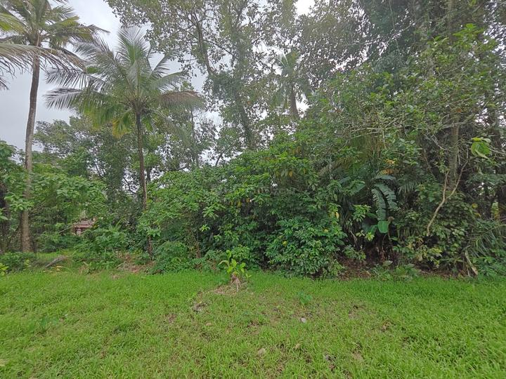 Thiruvalla Main Image 1