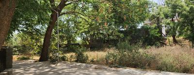 Shree Ram Plot View 1