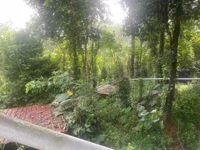 Image of 3000 Sq.ft 4 BHK Farm House for sale in Rajakkad, Idukki for Rs. 26000000