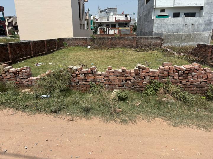 Kandwa Main Image 1