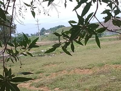 Panguru area Plot View 2