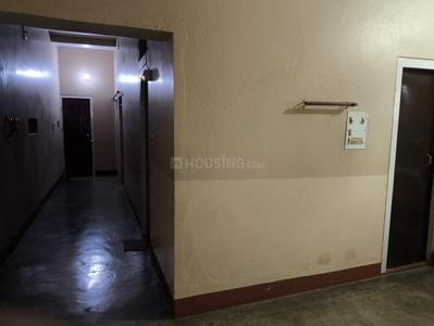Hall Image of 1000 Sq.ft 3 BHK Builder Floor for rent in Lohia Nagar Patna for Rs. 12000