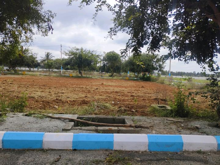 Srushti Silver Woods Main Image 1