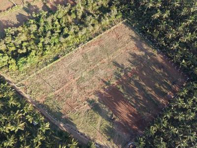 Image of 5700 Sq.ft Residential Plot / Land for sale in Achipatti, Pollachi for Rs. 1850000