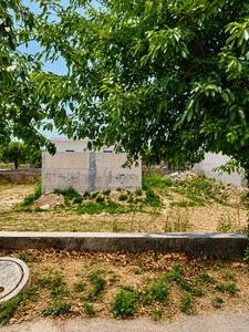 Sector 151 Plot View 2